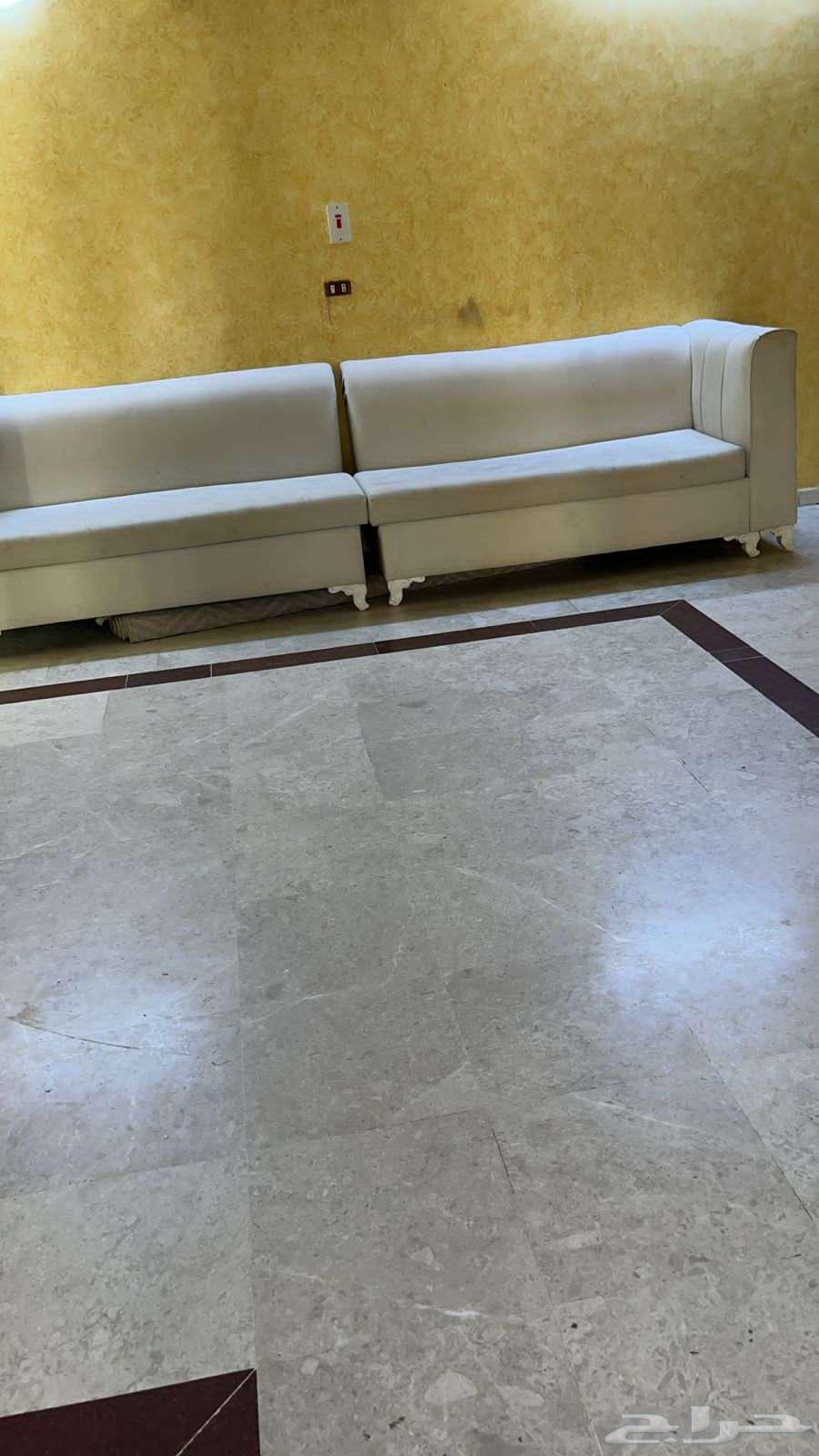 شركة تنظيف بالطائف غسيل خزانات وسجاد64150153905922113