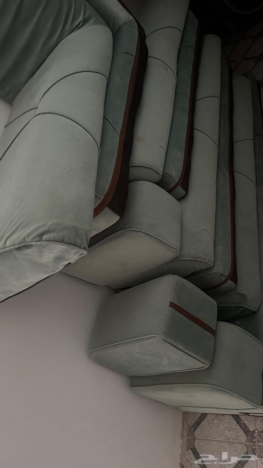 مساند ظهر للبيع بتبوك64485861258114111