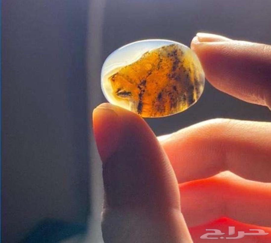 Carnelian with a lion's head image.64484827627393110