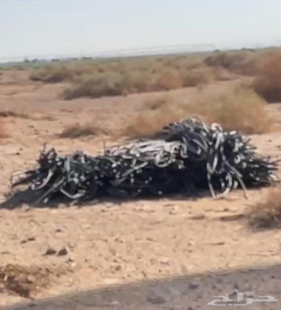 ليات زراعيه للبيع بكميات كبيره64480427730947110