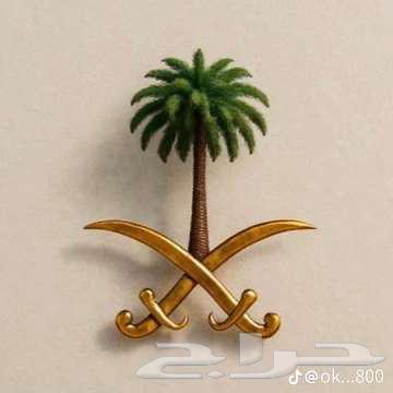 ابغى ايفون بروماكس 13 نظيف64493559424001110