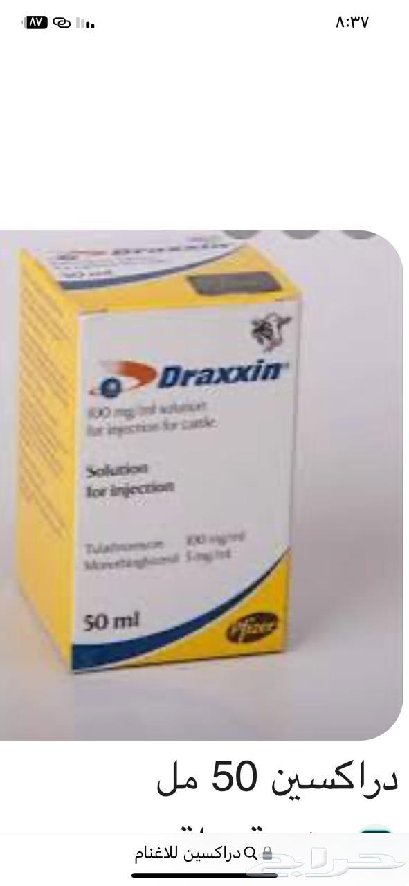Dairksin, the strongest antibiotic for sheep64493660591874111