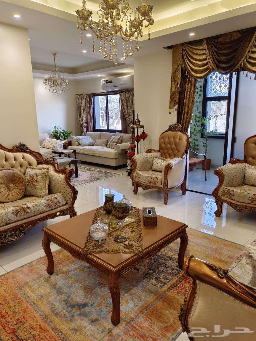 كنب زان محفور شبه جديد64493586774529110