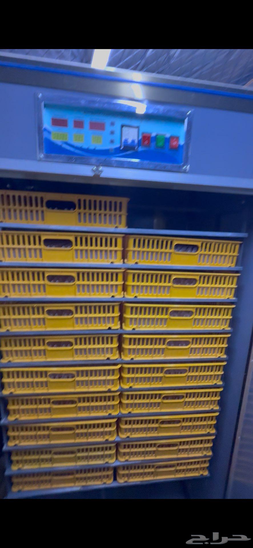 فقاسة عون المربي 1760 بيضه64492067221505110