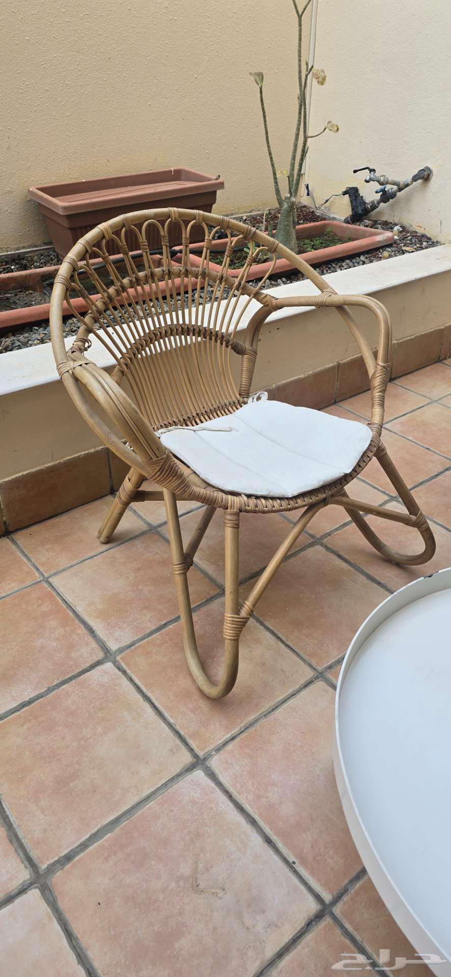 بوهيمي أنيق في الهواء الطلق64488284406147111