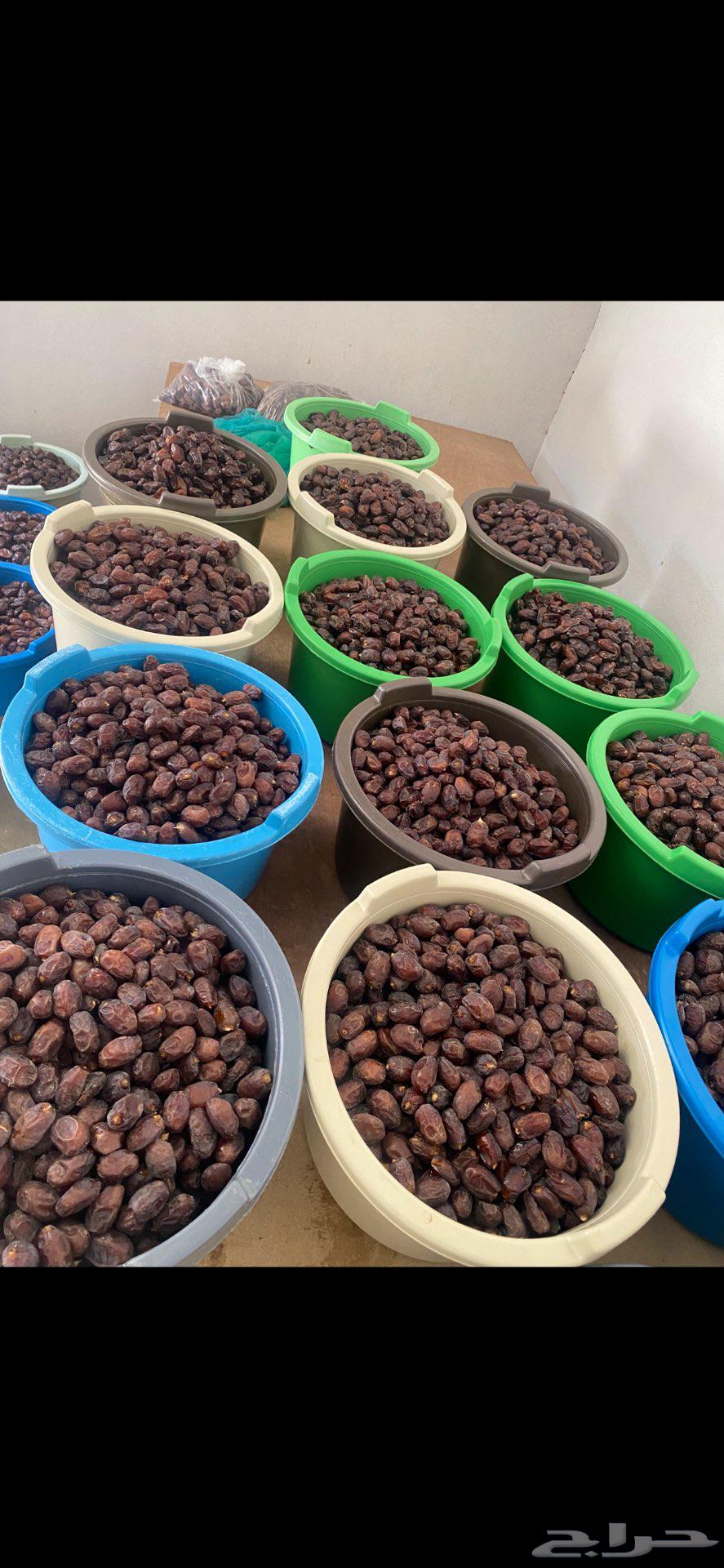 للبيع تمر حلوه الروضه64488463290370112