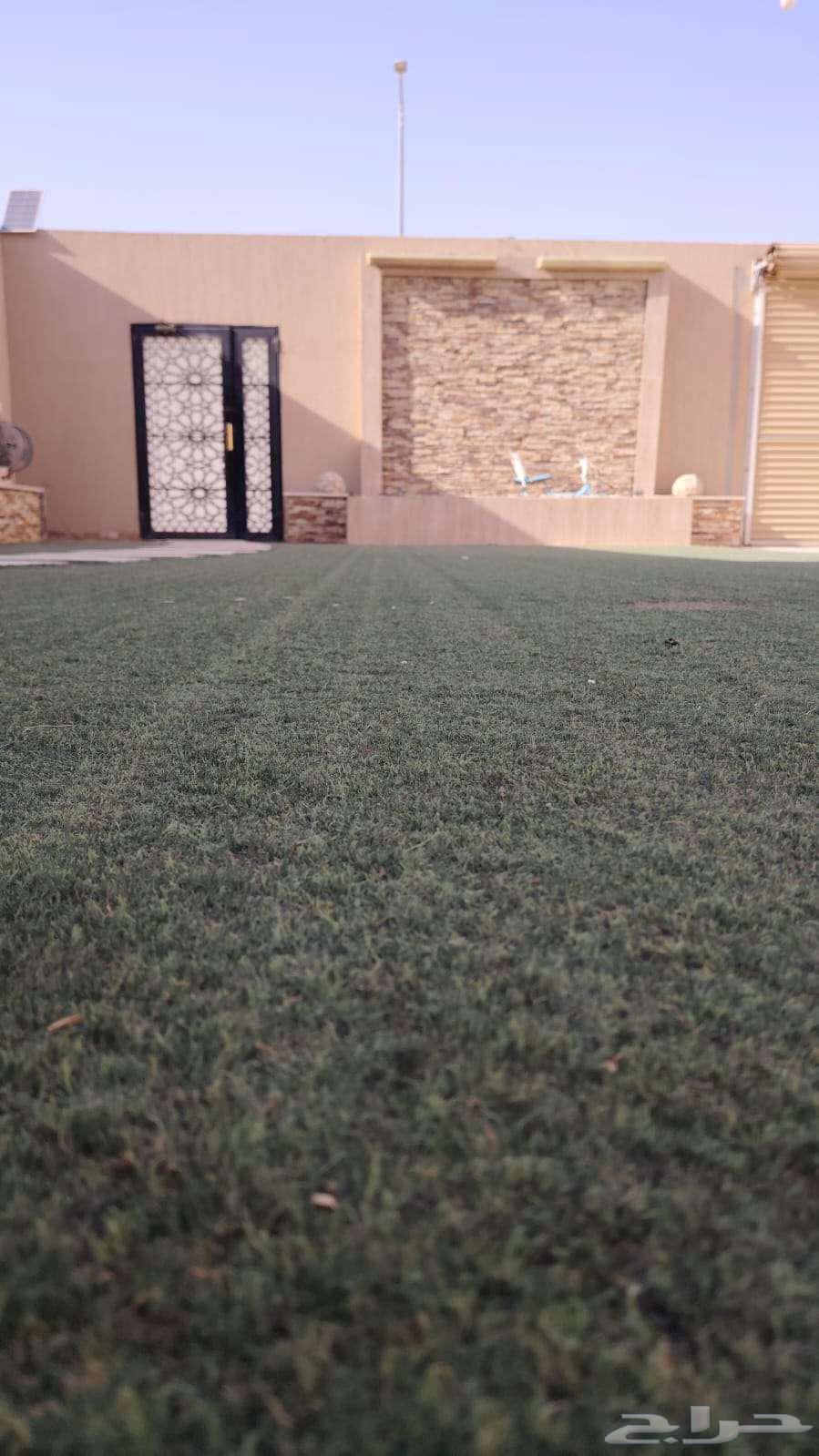 Artificial grass64490028100482110