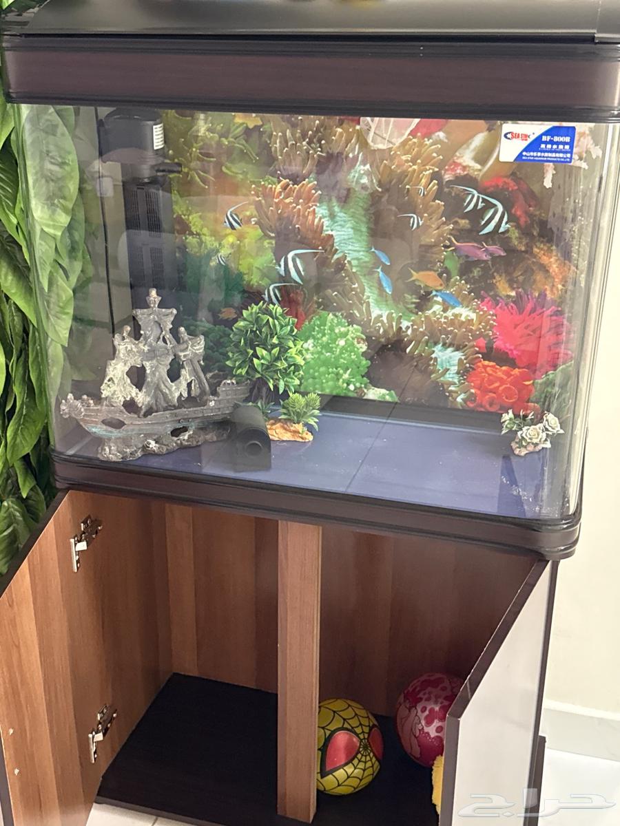 حوض سمك للبيع بسعر مميز64489044943105110