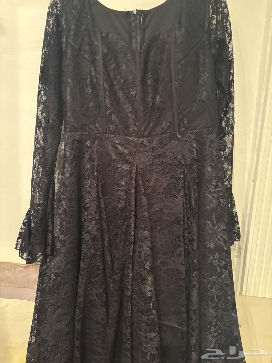 فستان دانتيل لا قصير ولا طويل64489142570883112