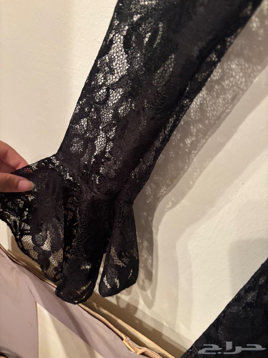 فستان دانتيل لا قصير ولا طويل64489142570883110