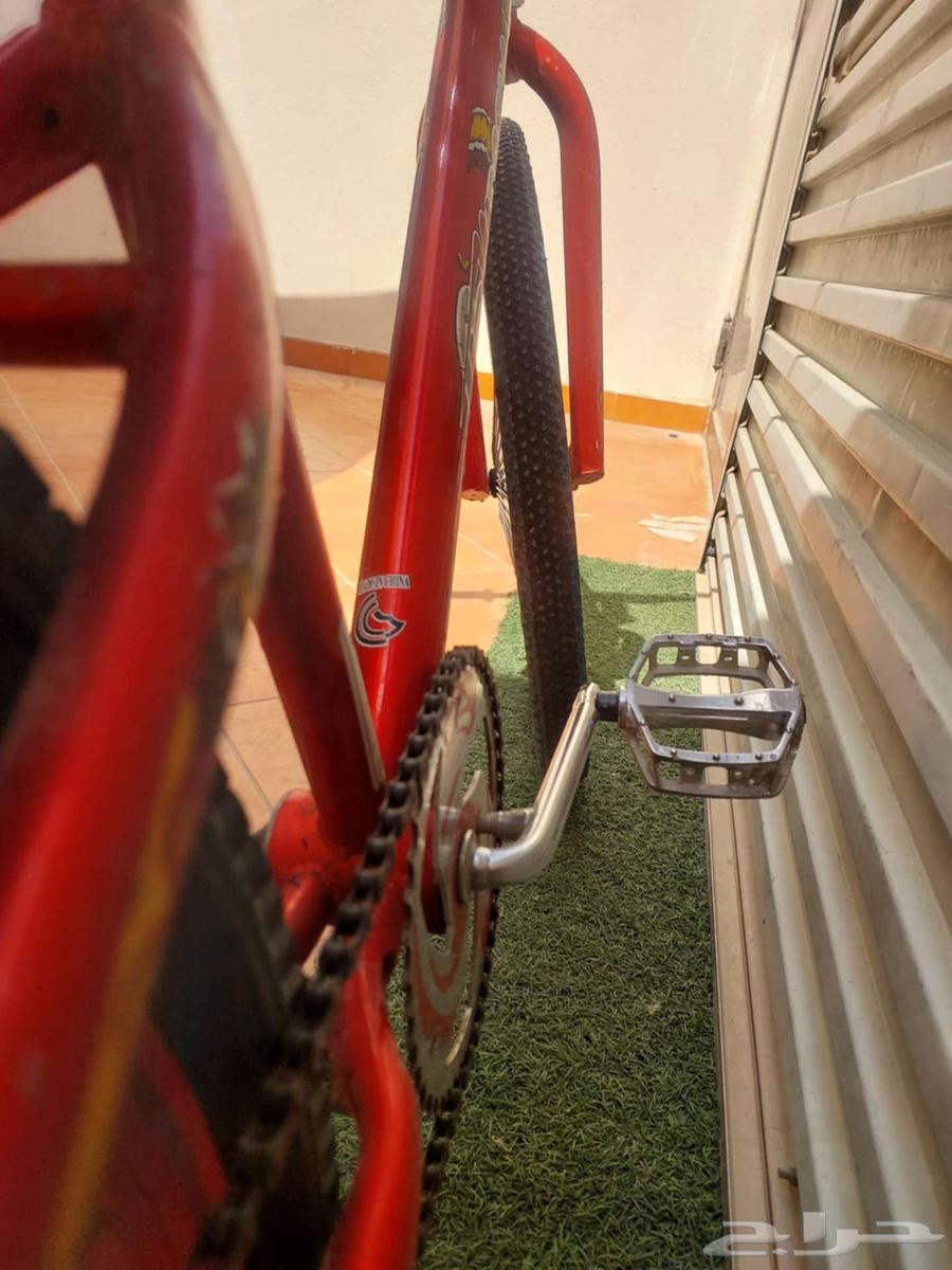 Cobra bicycle size 2664428403377795112