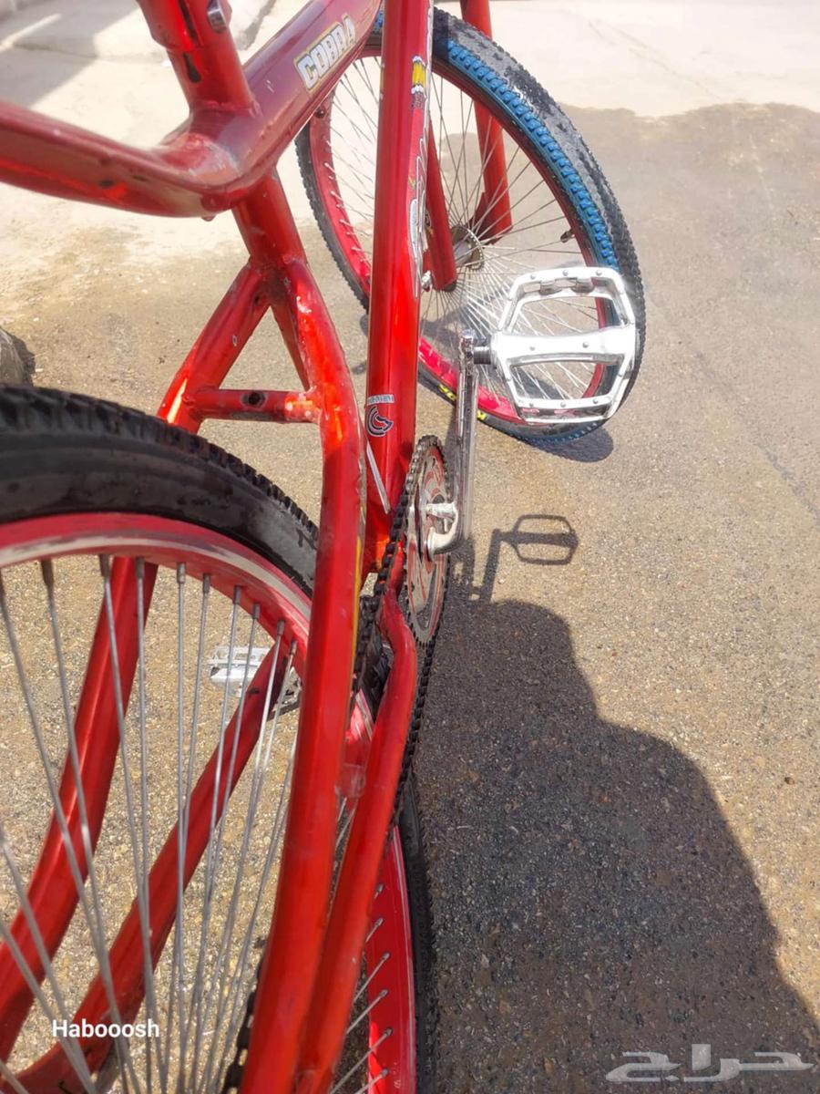 Cobra bicycle size 2664428403377795113