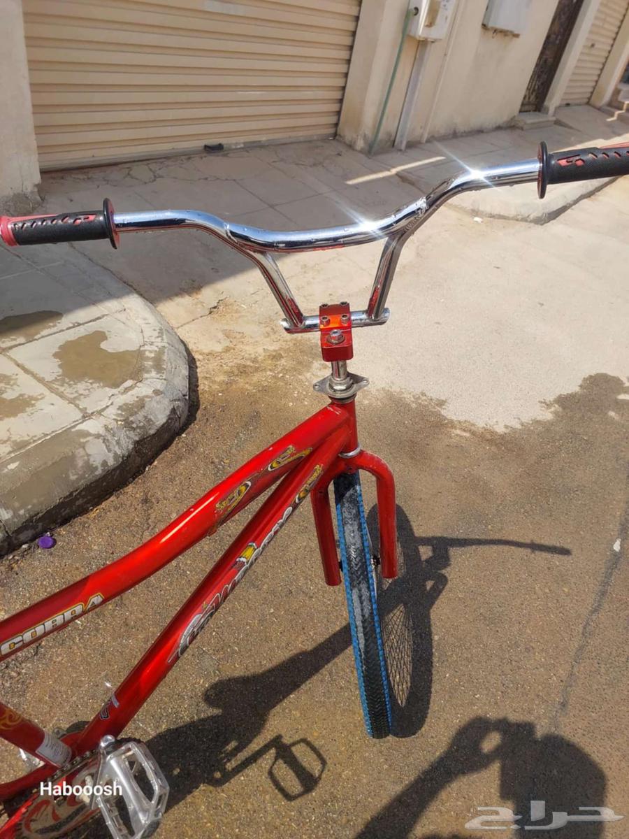 Cobra bicycle size 2664428403377795114