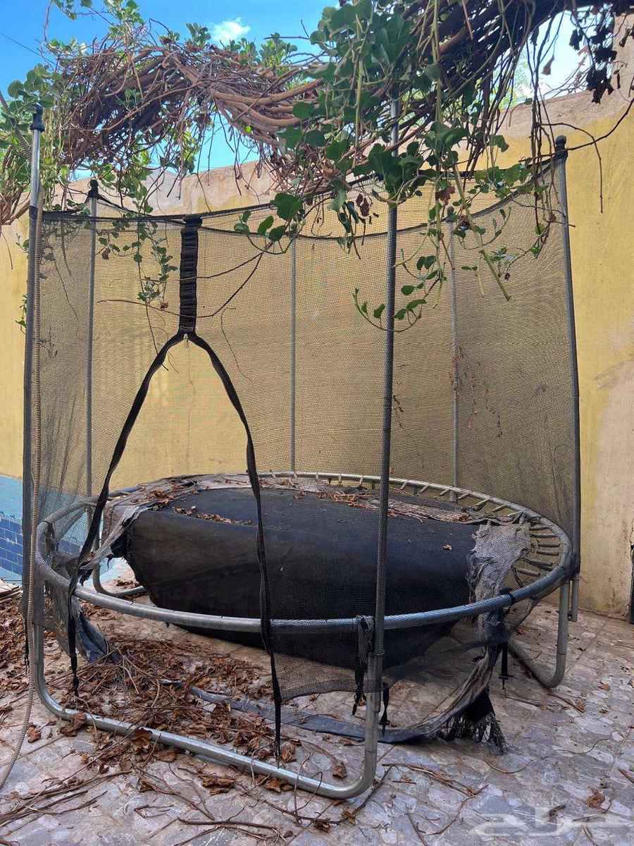 نطنيطه خربانه64489986552962110