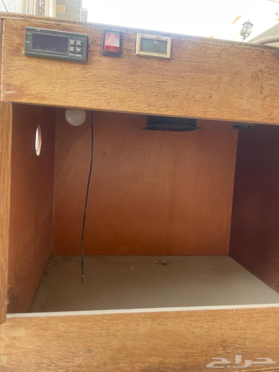 حضانة طيور كهرباء64491252314754111