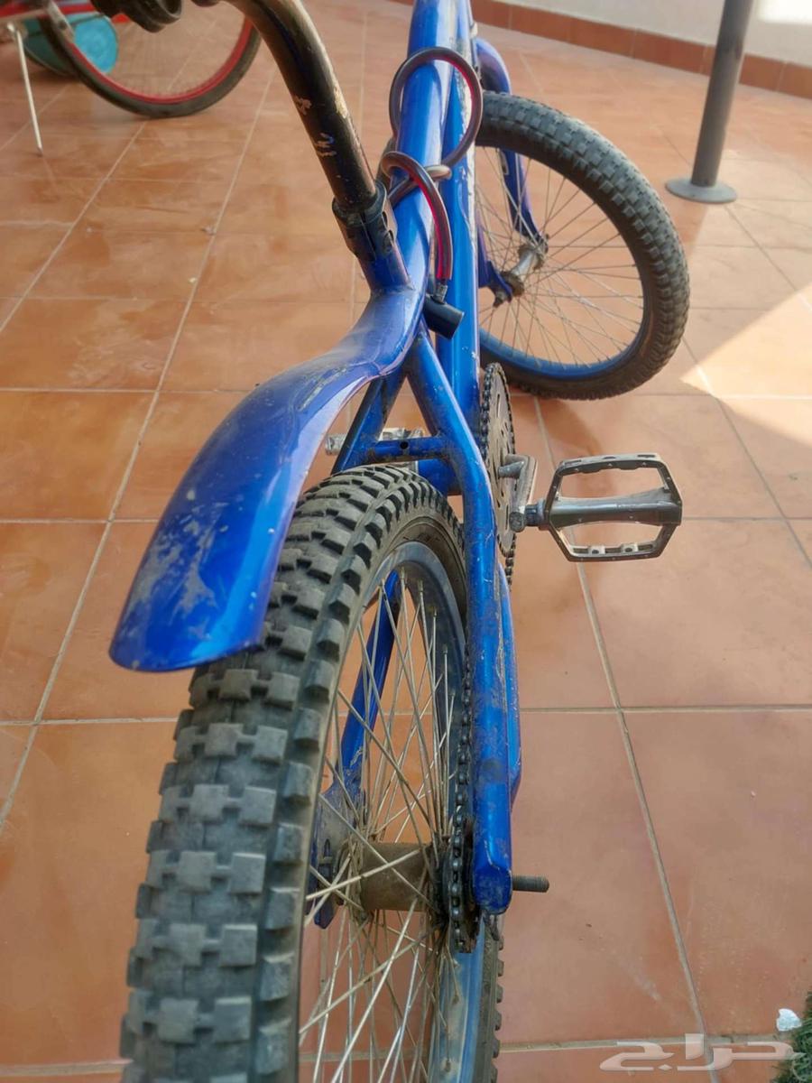 سيكل كوبرا64491455343619110