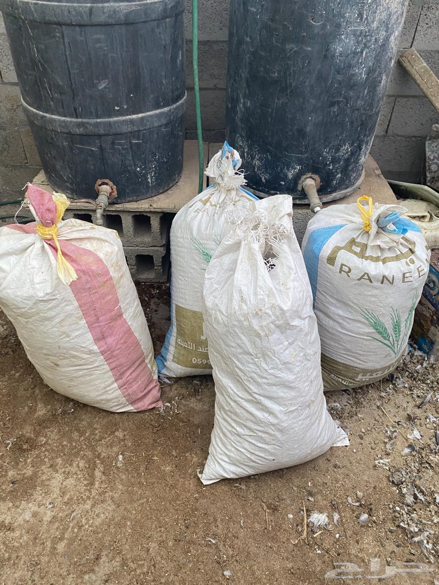 Bird Fertilizer64492434377985111