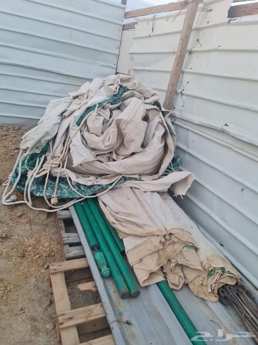 Tent size 6 1064493409922561110