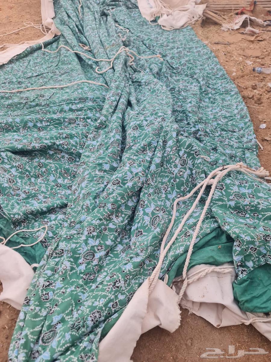 Tent size 6 1064493409922561112