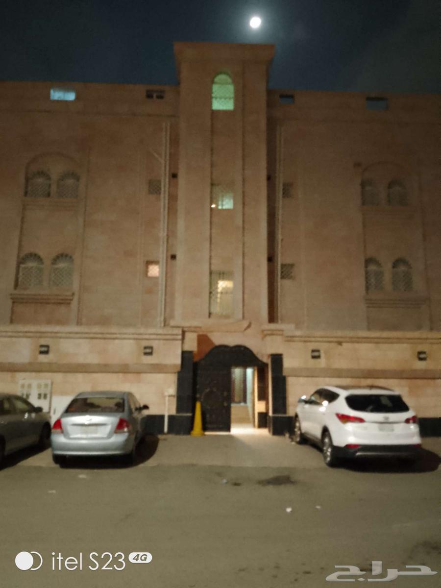 شقه مخطط 6 للأجار64574214510723110