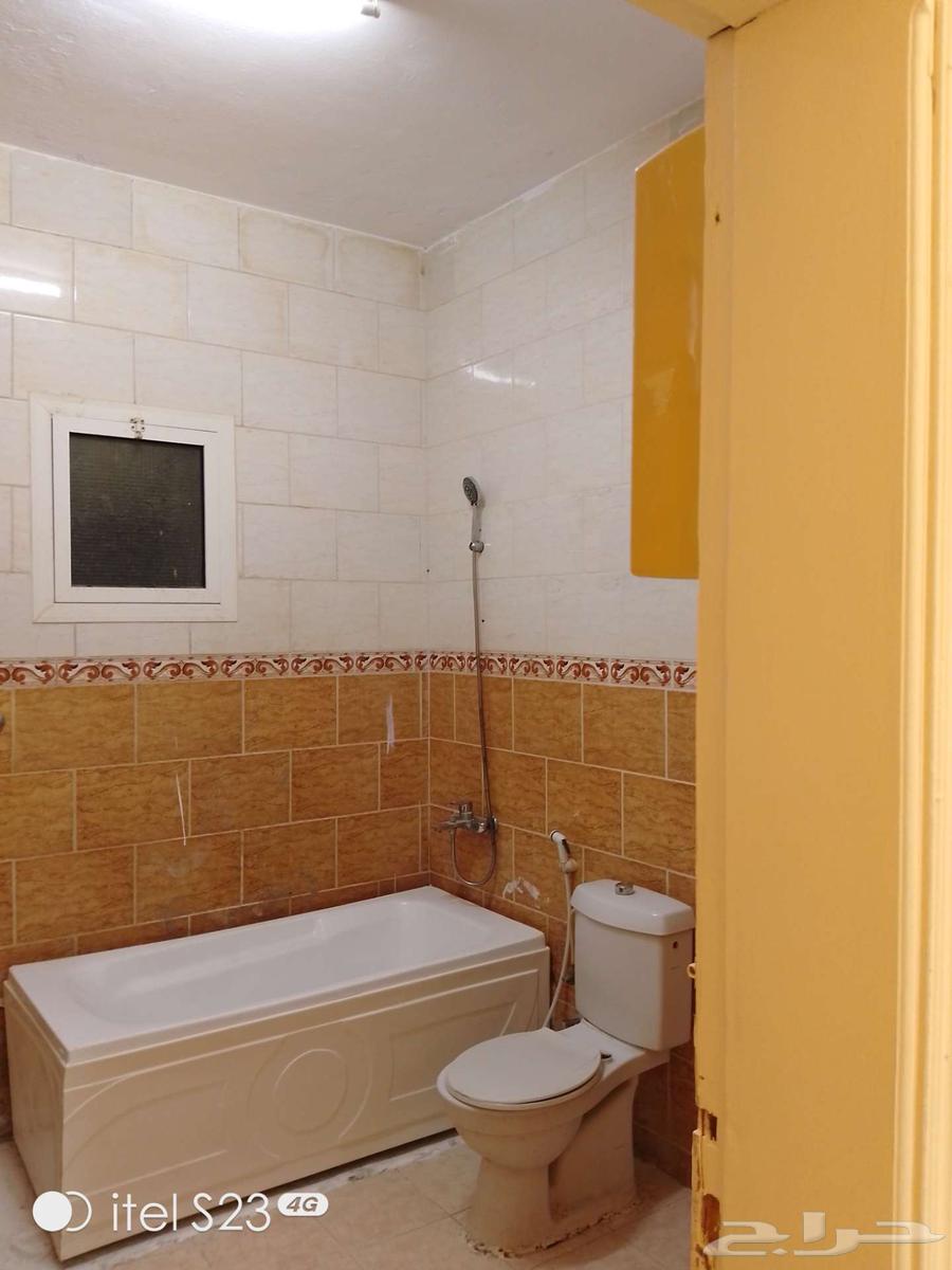 شقه مخطط 6 للأجار64574214510723113