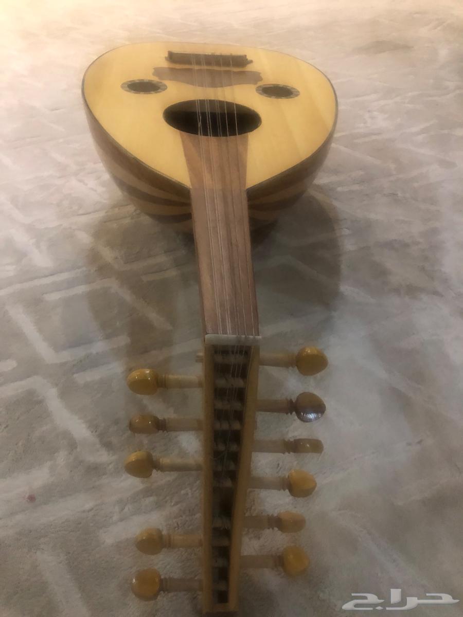 عود للبيع64494995760385113