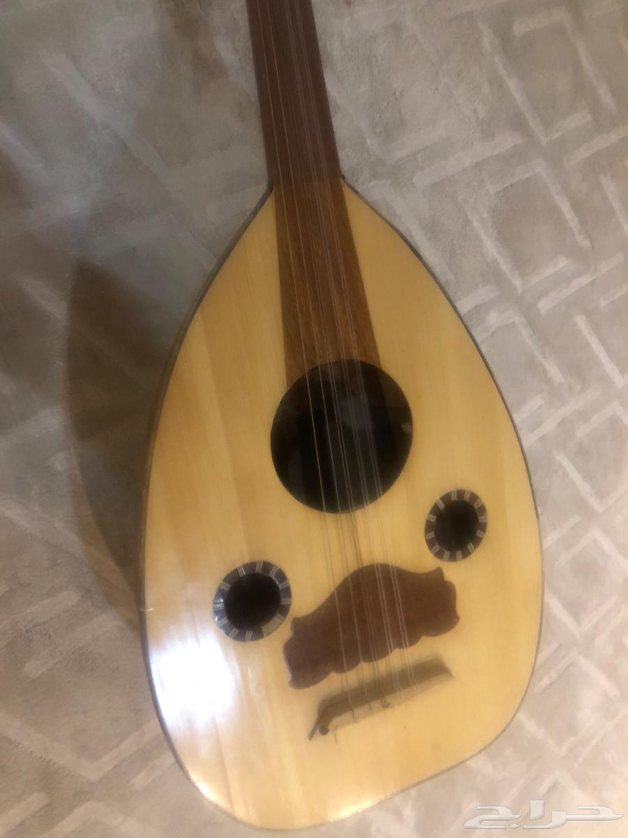 عود للبيع64494995760385110