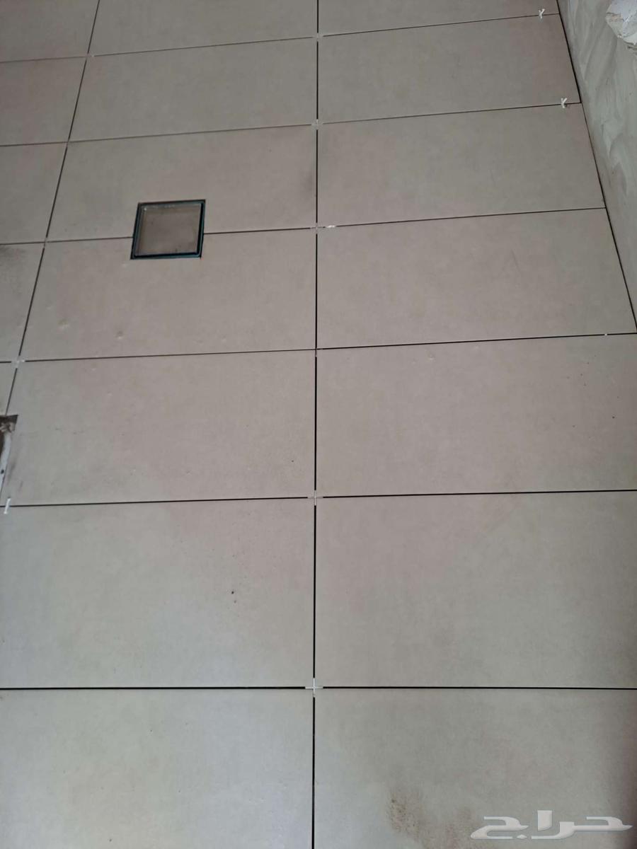 201564502136248323112