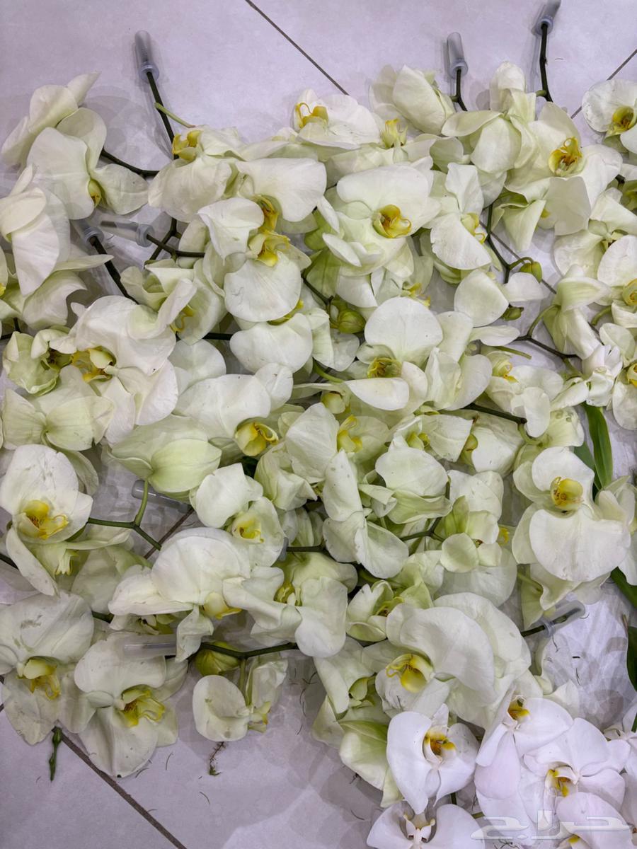 Luxury flowers for sale after event in Jeddah, limited quantities and competitive prices64487650082946110