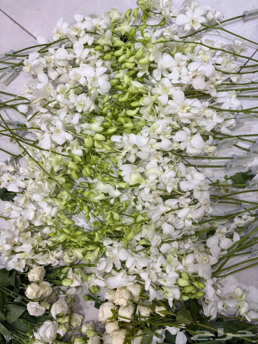 Luxury flowers for sale after event in Jeddah, limited quantities and competitive prices64487650082946111