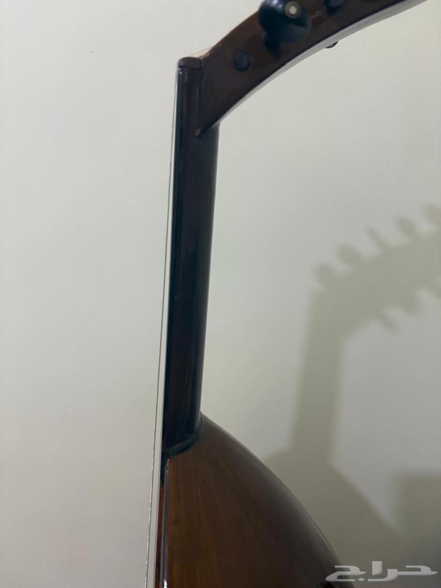 عود للبيع64495433962881112