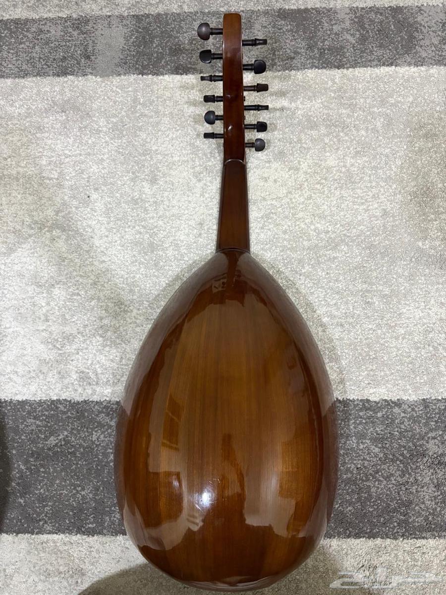 عود للبيع64495433962881111