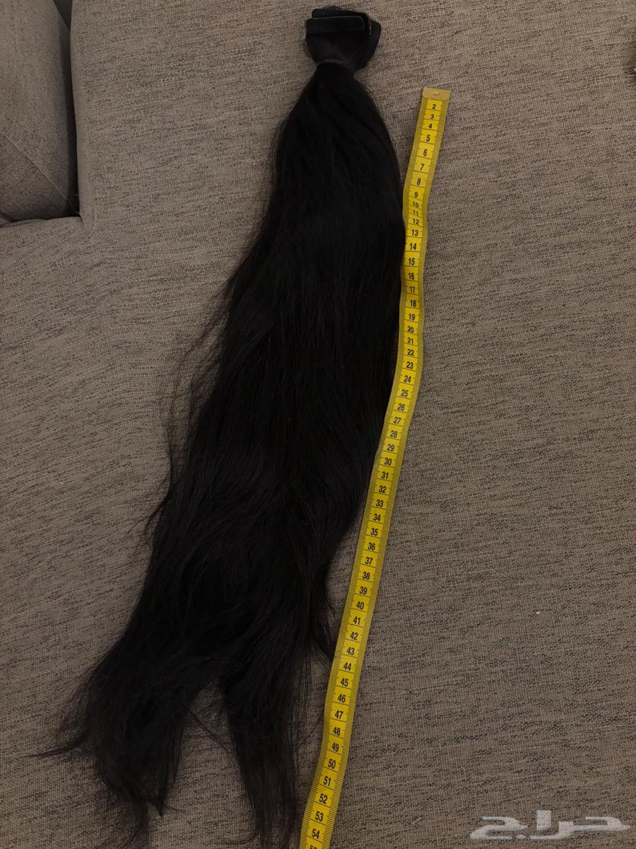 Extension64495529236354110