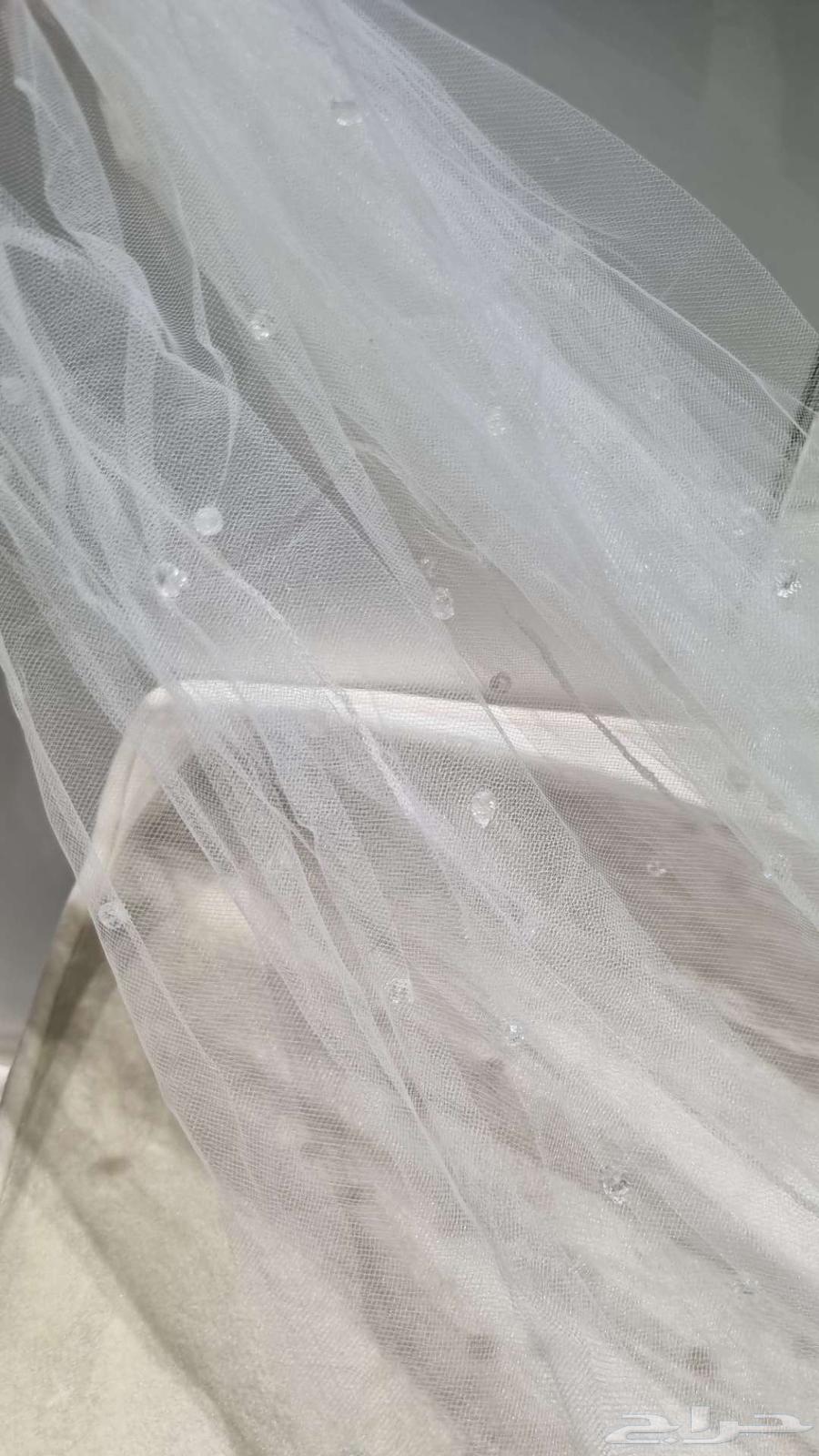 المنطقة الشرقية القطيف64490206993153111