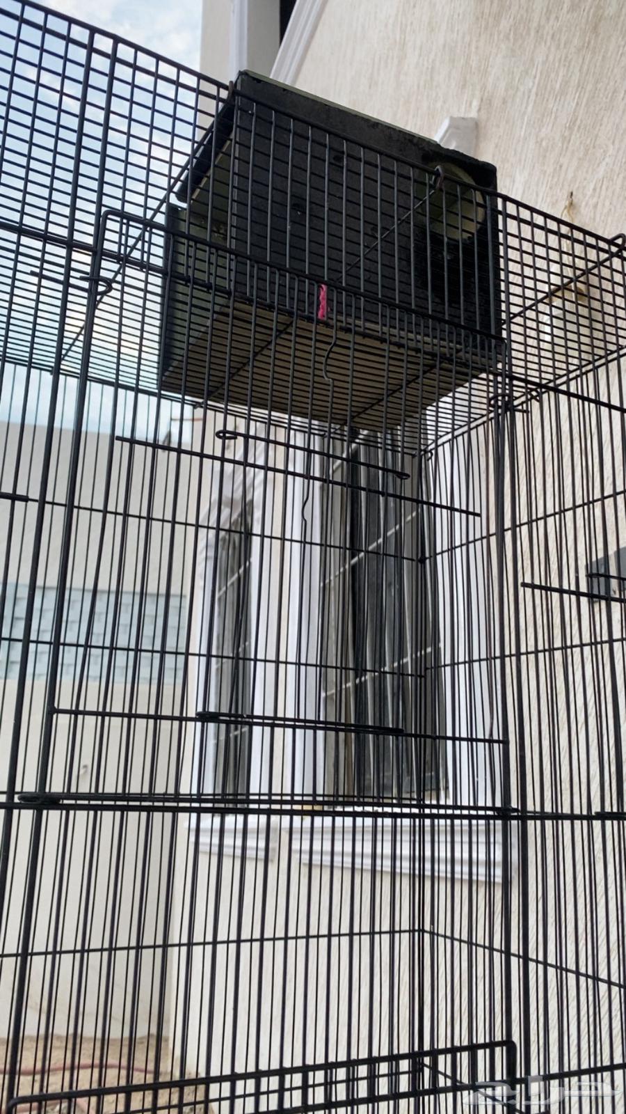 قفص عصافير كبير طوله متر و نص64492067302785111
