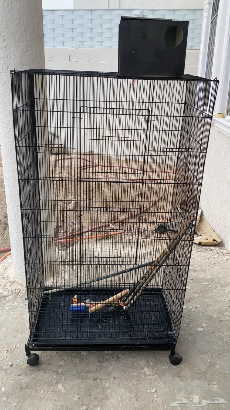 قفص عصافير كبير طوله متر و نص64492067302785112