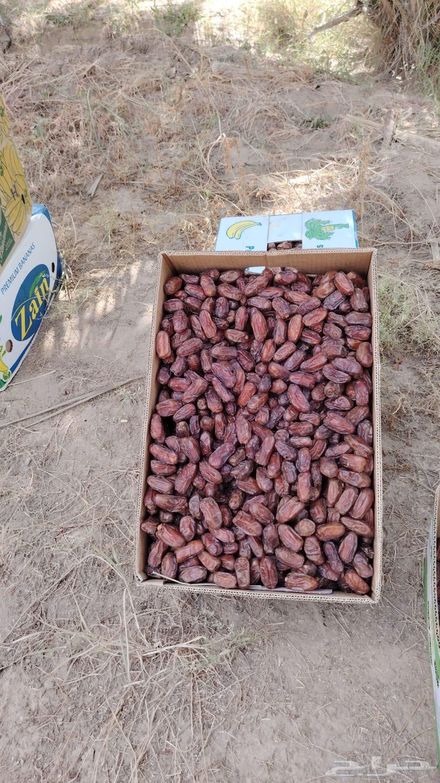 New Zero Seed Dates64494455260035111