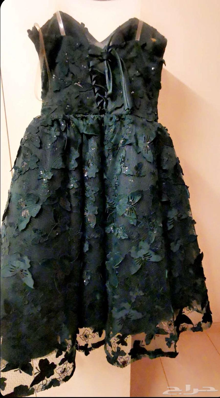 اعراض منوعه64490660569729113