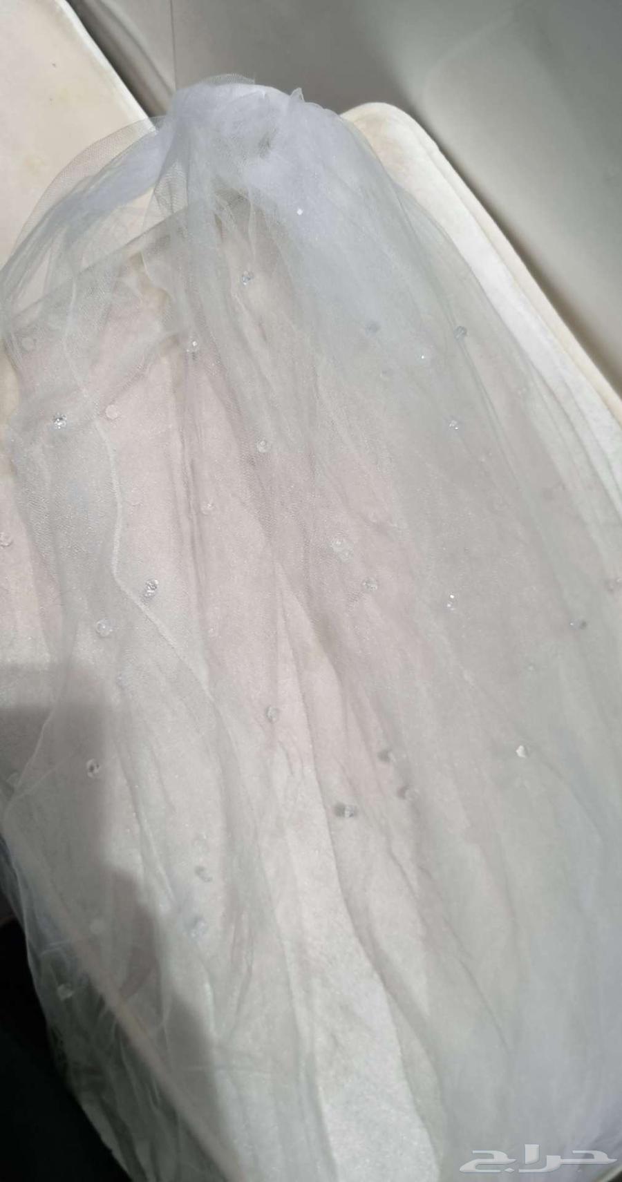 المنطقة الشرقية القطيف64490206993153114