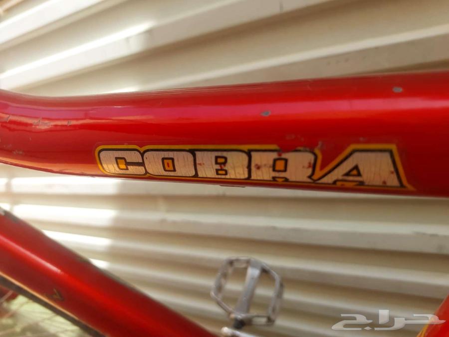 Cobra bicycle size 2664428403377795111