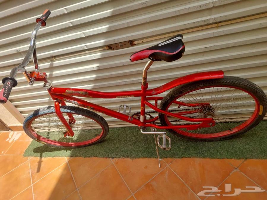 Cobra bicycle size 2664428403377795110