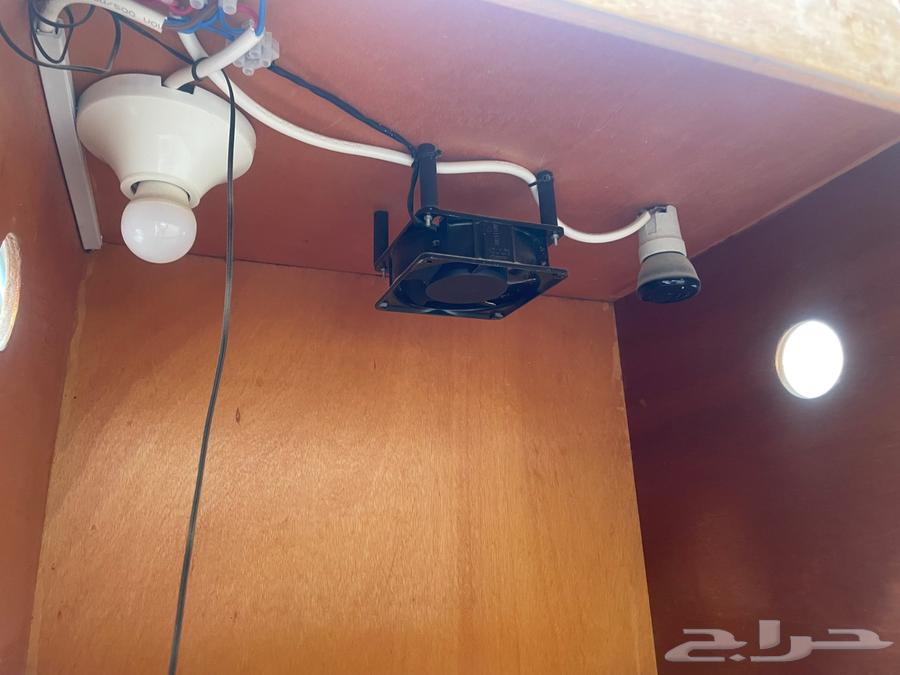 حضانة طيور كهرباء64491252314754112