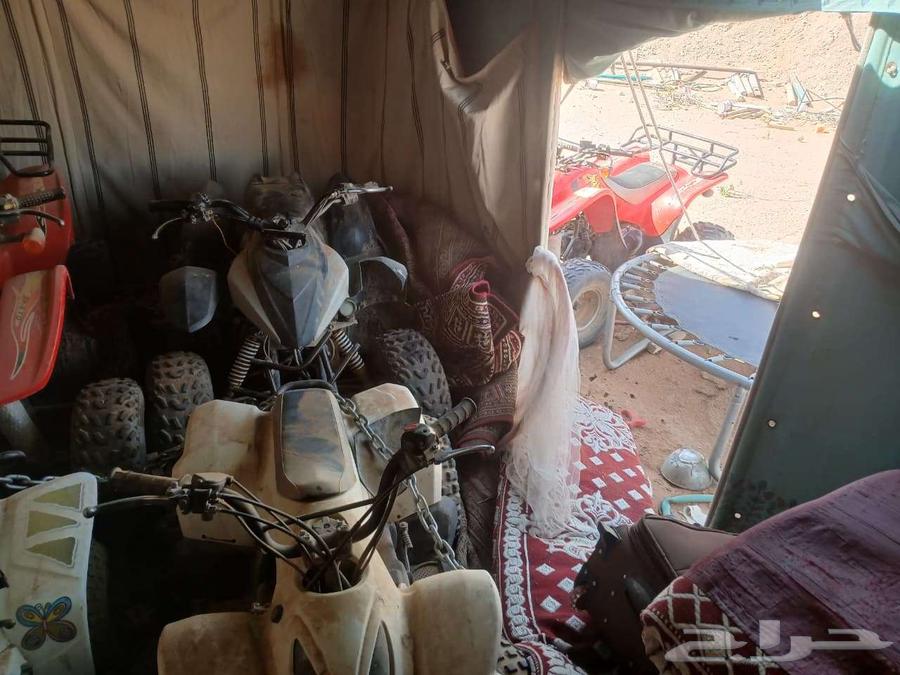 مخيم ودبابات للبيع64493961866754111