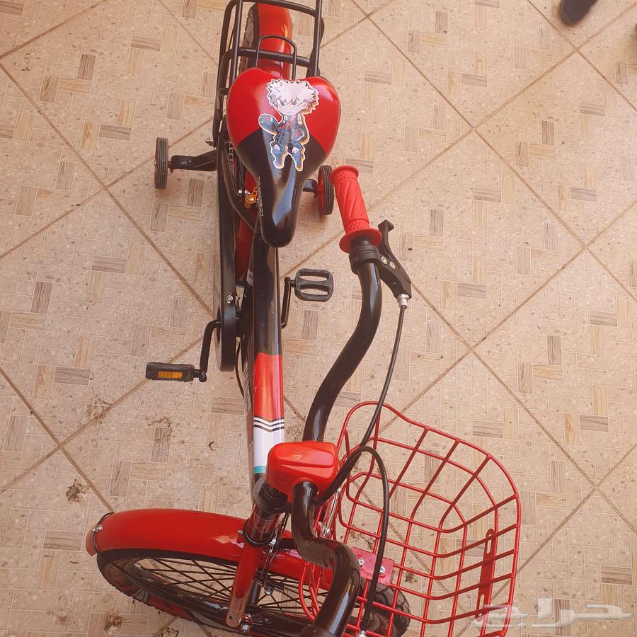 بسكليت جديد غير مستعمل الحجم كبير64488504669697111