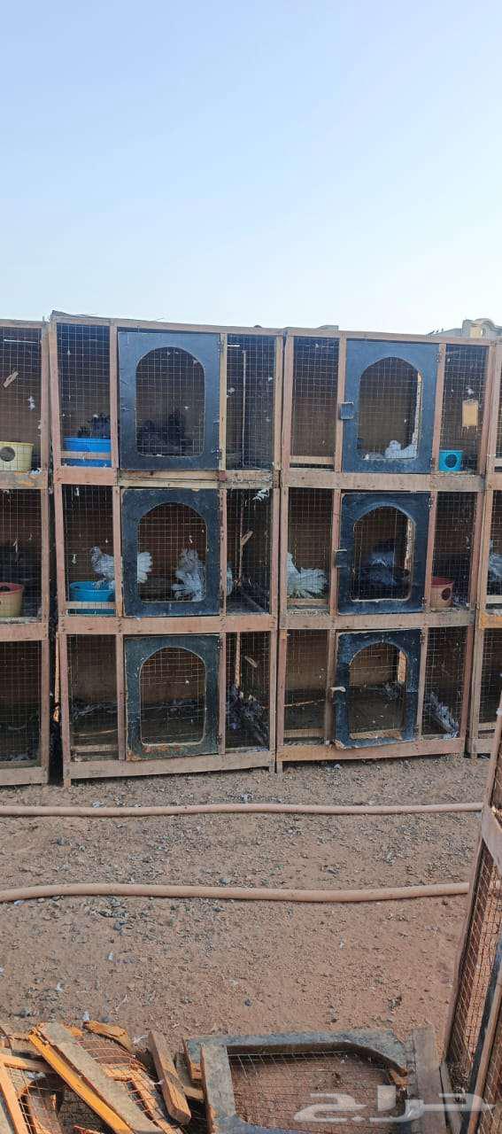 محاكر حمام مستعملة نظيفة للبيع64500408379393112