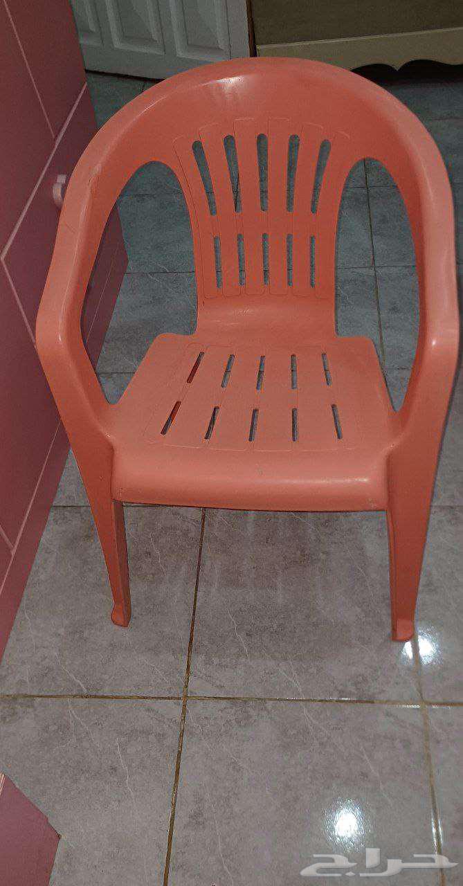 المدينة المنورة64499201476482114