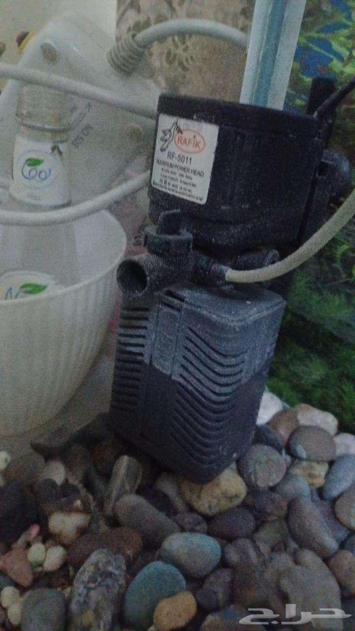 حوض أسماك متوفر بسعر رخيص جدًا64499131929089114