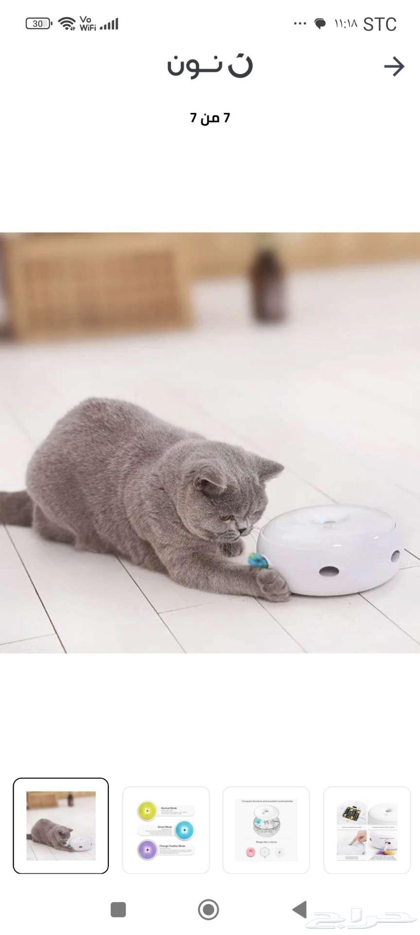 لعبه للقطط64499228788865113