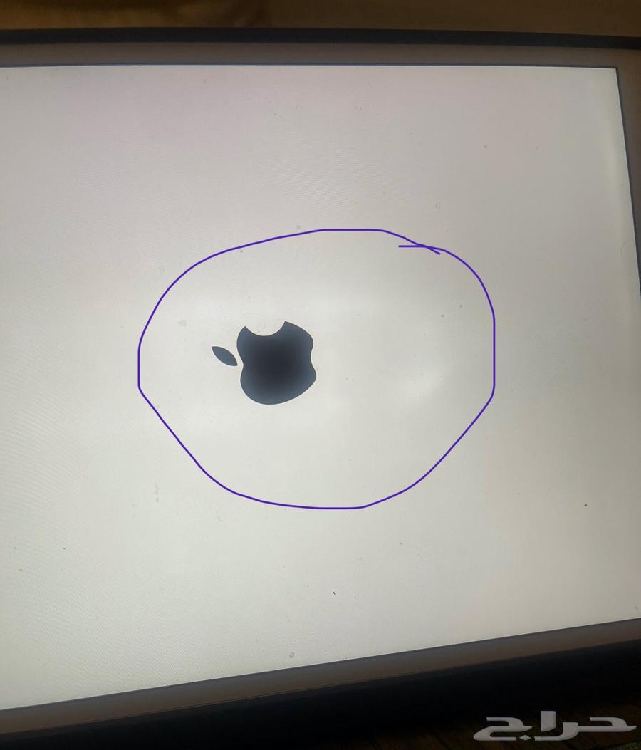 ايباد برو 201764489696828290113