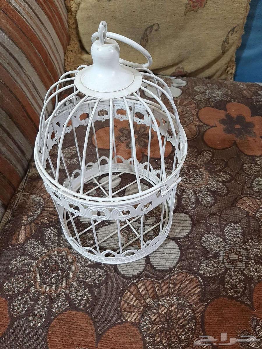 أقفاص عصافير بادجي وببغاء 3 أقفاص ب50 ريال64497386120705111